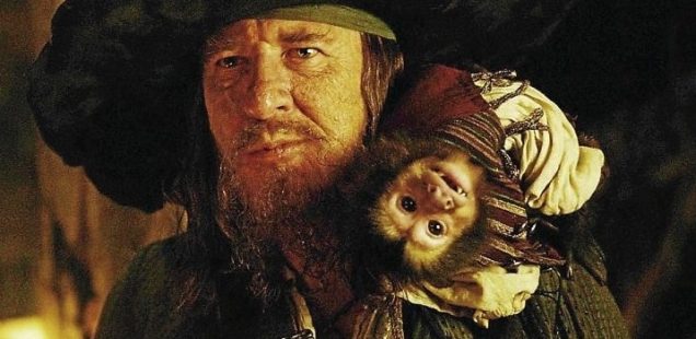 Животные пиратов: обезьянка Джек и другие